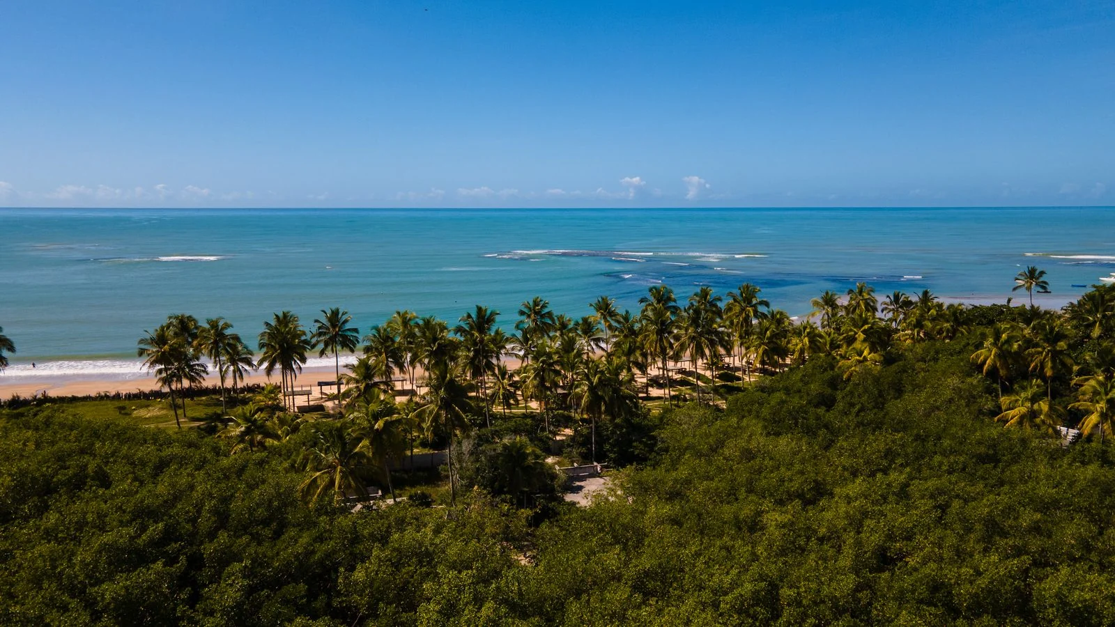 Vista aérea da Praia dos Coqueiros, mar azul e coqueiral